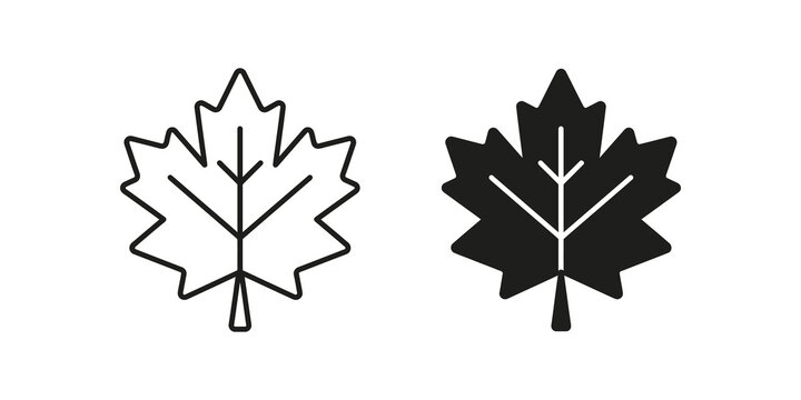 Maple leaf icon with black and outline style for nature forest graphics.