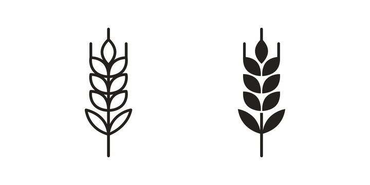 Wheat stalk agriculture flat icon black line art for organic food growth.