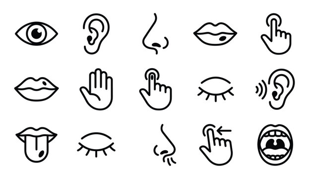 A collection of hand drawn icons representing the five senses and various human facial features