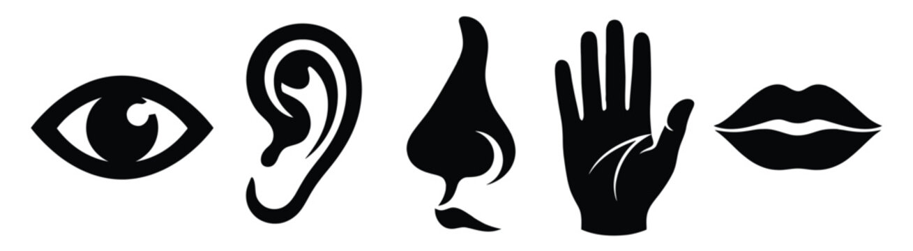 A striking black and white illustration depicting the human senses sight hearing smell touch and taste