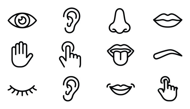 A collection of simple line drawings depicting various human sensory organs and body parts including eyes ears and hands