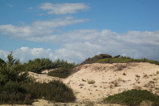 dune del salento