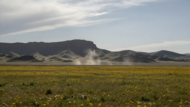 Vast yellow field leading to distant rolling mountains