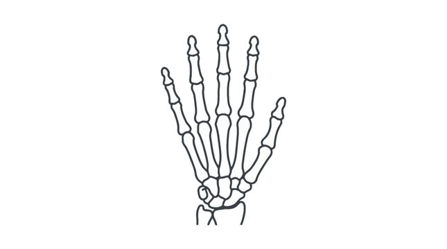 Vector illustration skeleton hand concept vector illustration for creative projects and modern business isolated background element
