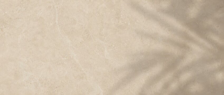Beige textured concrete surface with soft leaf shadows, minimalist architectural background for product display and interior design presentation