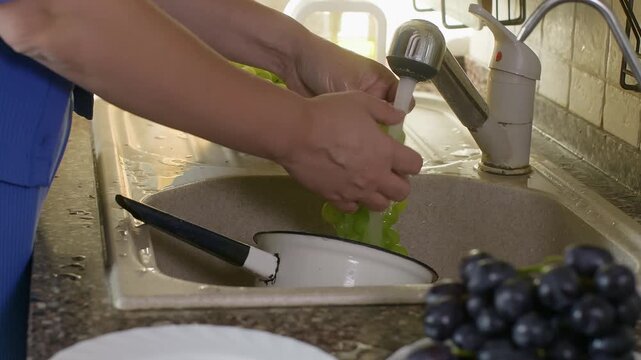 Close up of hands rinsing fresh green grapes under running water at domestic kitchen sink with natural window light, showing food preparation sequence.