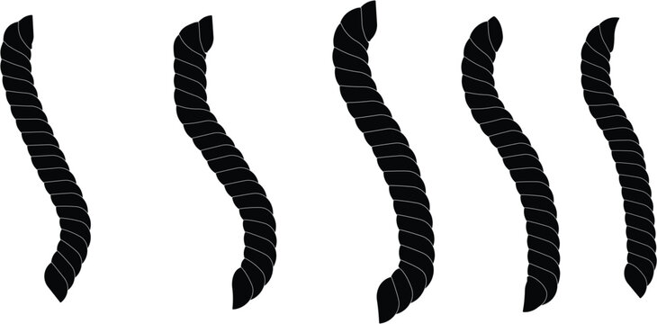 Five wavy vertical black twisted rope shapes abstract decorative elements arranged side by side on white background vector style