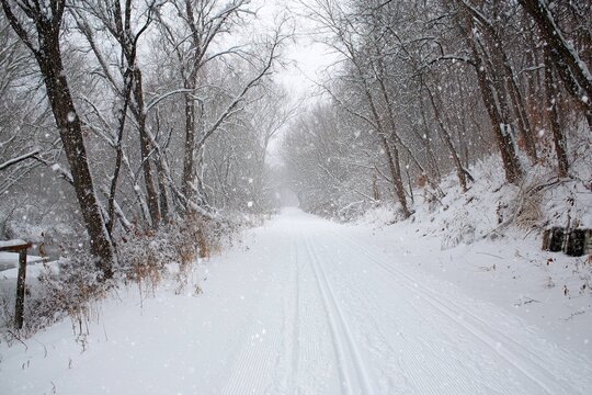 fresh snow falling on cross country ski trail