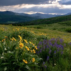 Obraz premium Rainwashed meadow with wildflowers and mountains in the background