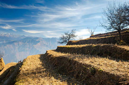 Beautiful layered faming on the mountains in Chamba, Himachal Pradesh