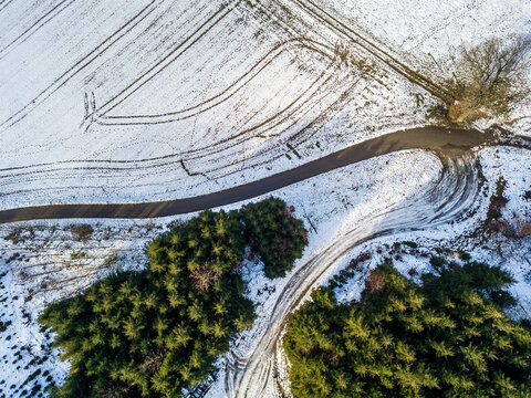 Drone top-down view of snow-dusted fir trees and winding asphalt path in Bern countryside - winter pattern