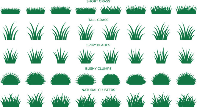 Grass clump tall blade bush field nature plant lawn green vector illustration icon set flat natural botanical design