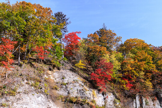北海道恵庭市、紅葉に染まる恵庭渓谷【10月】