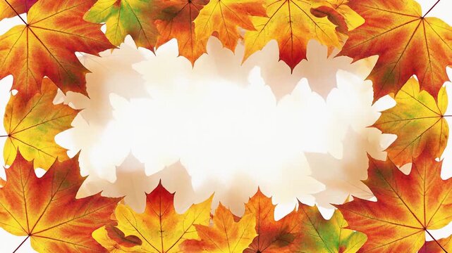 広い白い余白の周囲を鮮やかな秋の紅葉が額縁のように取り囲む