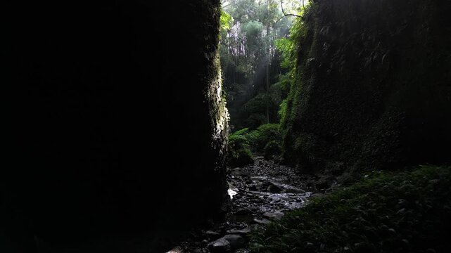 Mysterious Ioki Cave in Kochi, Japan with Sunbeams, Lush Greenery and Dripping Water &ndash; Aerial Drone Footage
