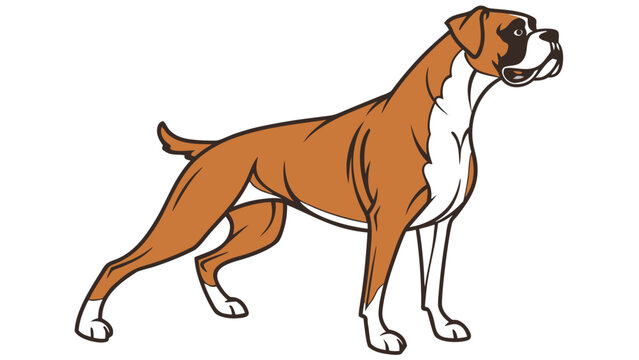 Boxer dog vector illustration showing athletic brown canine for professional pet posters.