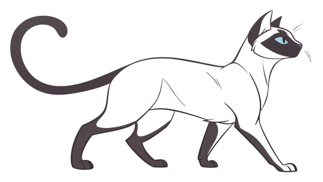 Siamese cat vector illustration walking gracefully with long curled tail isolated clipart.