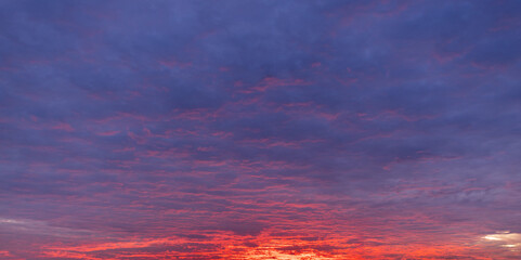 Fototapeta premium Vibrant sunset sky with fiery orange clouds and blue gradient,A wide-angle view of a dramatic sunset sky filled with glowing orange and yellow wispy clouds transitioning into deep purple and blue.