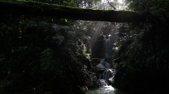 Mysterious Waterfall Deep Inside Ioki Cave in Kochi, Japan with Sunbeams and Dripping Water &ndash; Aerial Drone Footage