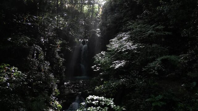Mysterious Waterfall Deep Inside Ioki Cave in Kochi, Japan with Sunbeams and Dripping Water &ndash; Aerial Drone Footage