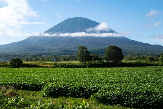 Mt Yotei Niseko Hokkaido, Japan, 羊蹄山 ニセコ 北海道 日本
