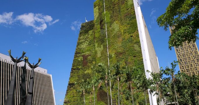 Vertical gardern on the wall of a skyscraper in Medellin, Colombia. Such gardens improve air quality by trapping dust, removing C02, releasing oxygen,. provides insulation and blocks street noise