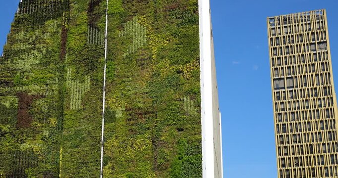 Vertical gardern on the wall of a skyscraper in Medellin, Colombia. Such gardens improve air quality by trapping dust, removing C02, releasing oxygen,. provides insulation and blocks street noise