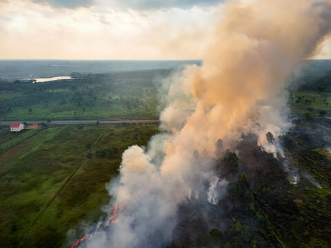 Aerial view of a fire burning in a field with thick smoke rising over green landscape and a small house near a road in Indonesia.