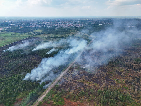 Aerial view of a forest fire with thick smoke rising from burning trees and scorched earth along a dirt road in Indonesia.