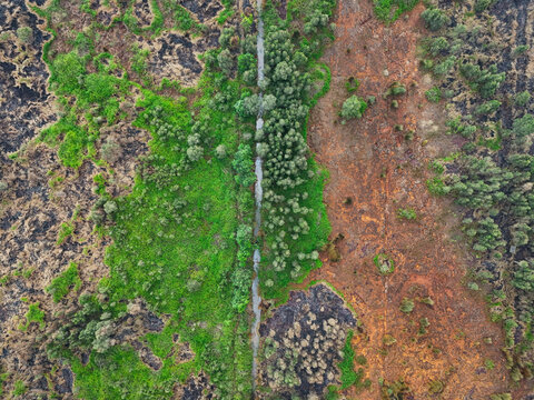 Aerial view of a landscape divided by a narrow stream, showing a stark contrast between lush green vegetation and scorched, fire-damaged land in Indonesia.