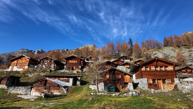 Picturesque traditional Swiss alpine chalets on Fafleralp in the L&ouml;tschental, Valais, Switzerland, surrounded by golden-yellow larches in beautiful autumn scenery, Valais, Switzerland
