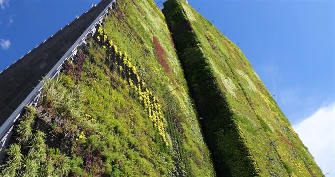 Vertical gardern on the wall of a skyscraper in Medellin, Colombia. Such gardens improve air quality by trapping dust, removing C02, releasing oxygen,. provides insulation and blocks street noise