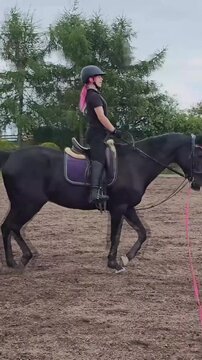 Rider and horse practice together at a training center