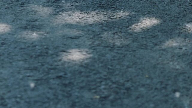 Slow motion poplar fluff slowly falling on a street