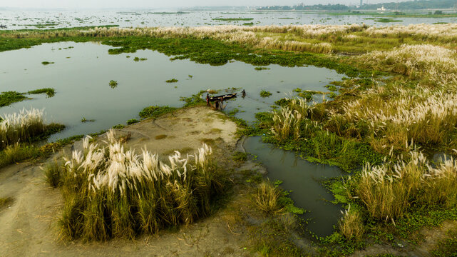 Aerial view of the river banks in Dhaka, featuring lush white kash flowers, calm water, and a small wooden boat with fishermen, Dhaka, Dhaka Division, Bangladesh.