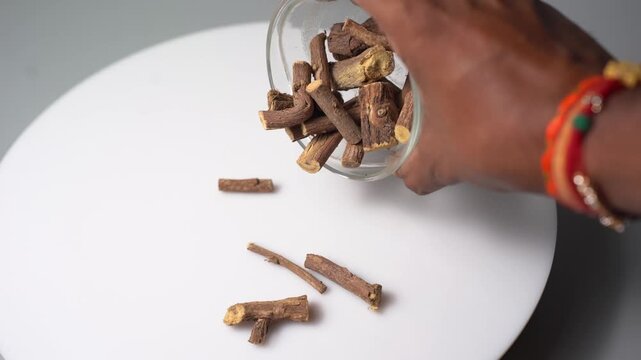 Mulethi &ndash; Ayurvedic Licorice Root, Glycyrrhiza Glabra Herbal Plant Traditionally Used for Throat, Digestive and Respiratory Wellness