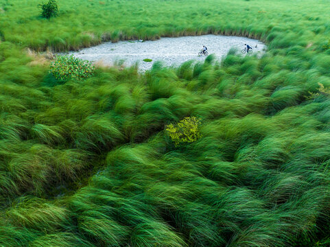 Aerial view of two people cycling on a gravel path surrounded by lush green tall grass in the countryside of Dhaka, Dhaka Division, Bangladesh.