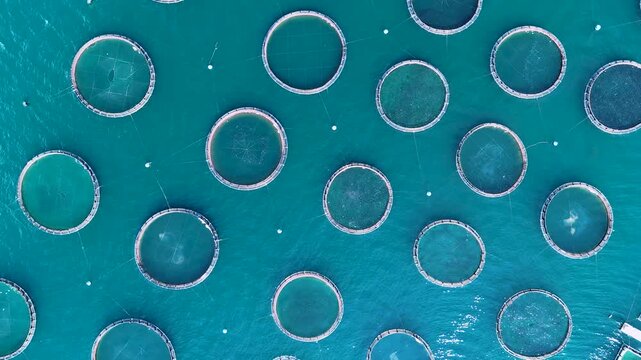 Aerial top down view of a sea fish farm in Corfu, Greece