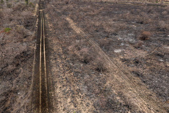 Aerial view of scorched earth and charred vegetation following a wildfire in a dry landscape with a dirt track running through the terrain in Vaalwater, Limpopo, South Africa.