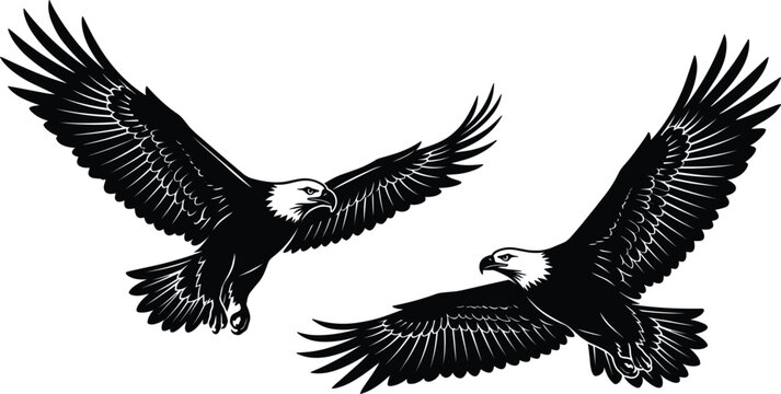 Two majestic bald eagles soaring high with wings spread wide in detailed black vector illustration