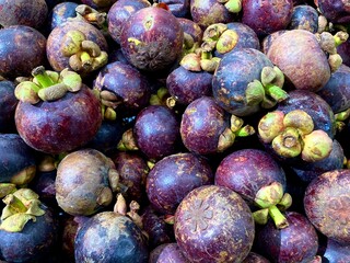Obraz premium fresh purple mangosteen fruit