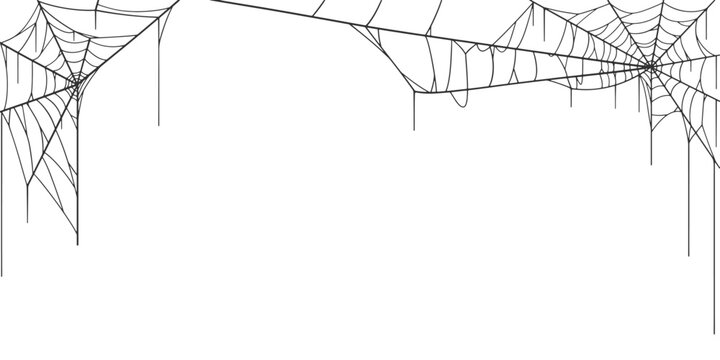 Vector Set of spider web on white