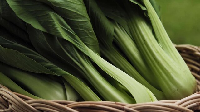 Fresh Bok Choy or Pak Choi(Chinese cabbage) in bamboo basket