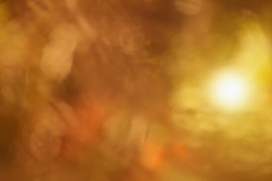 Beautiful defocused autumnal golden colored leaves and shining sunlight.