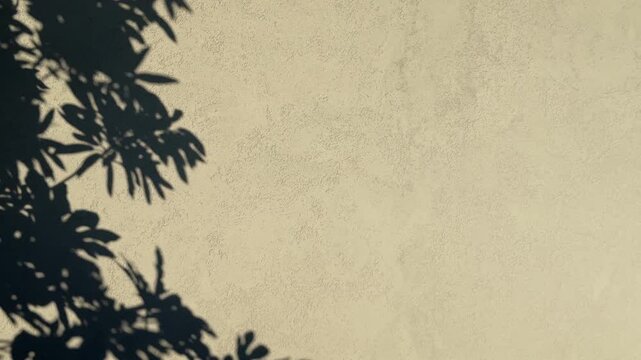 Crisp Swaying Leaf Shadows on Warm Beige Stucco Wall with Copy Space