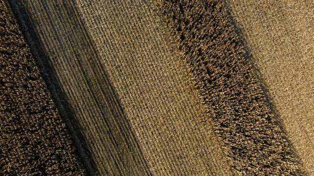 Aerial view of agricultural fields with rows of crops and soil patterns in the rural landscape of Kotesica, Kolubara District, Serbia.