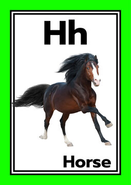 Vocabulary words Create a set of 26 cute English vocabulary flashcards for kindergarten children, from A to Z.