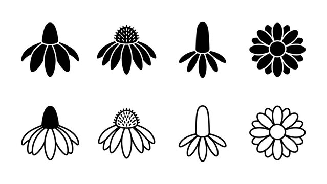 Coneflower Iconography: A set of graphic icons representing coneflowers in various stylized forms, offering a clean and modern design element for botanical themes.