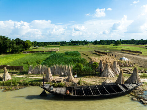 Aerial view of a traditional wooden boat moored on the riverbank with jute plants drying in the surrounding fields under a bright blue sky in Rajshahi, Rajshahi Division, Bangladesh.