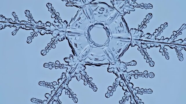 Detailed close-up of a complex snowflake